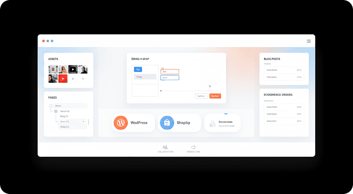 CMS Platforms (WordPress & Shopify)